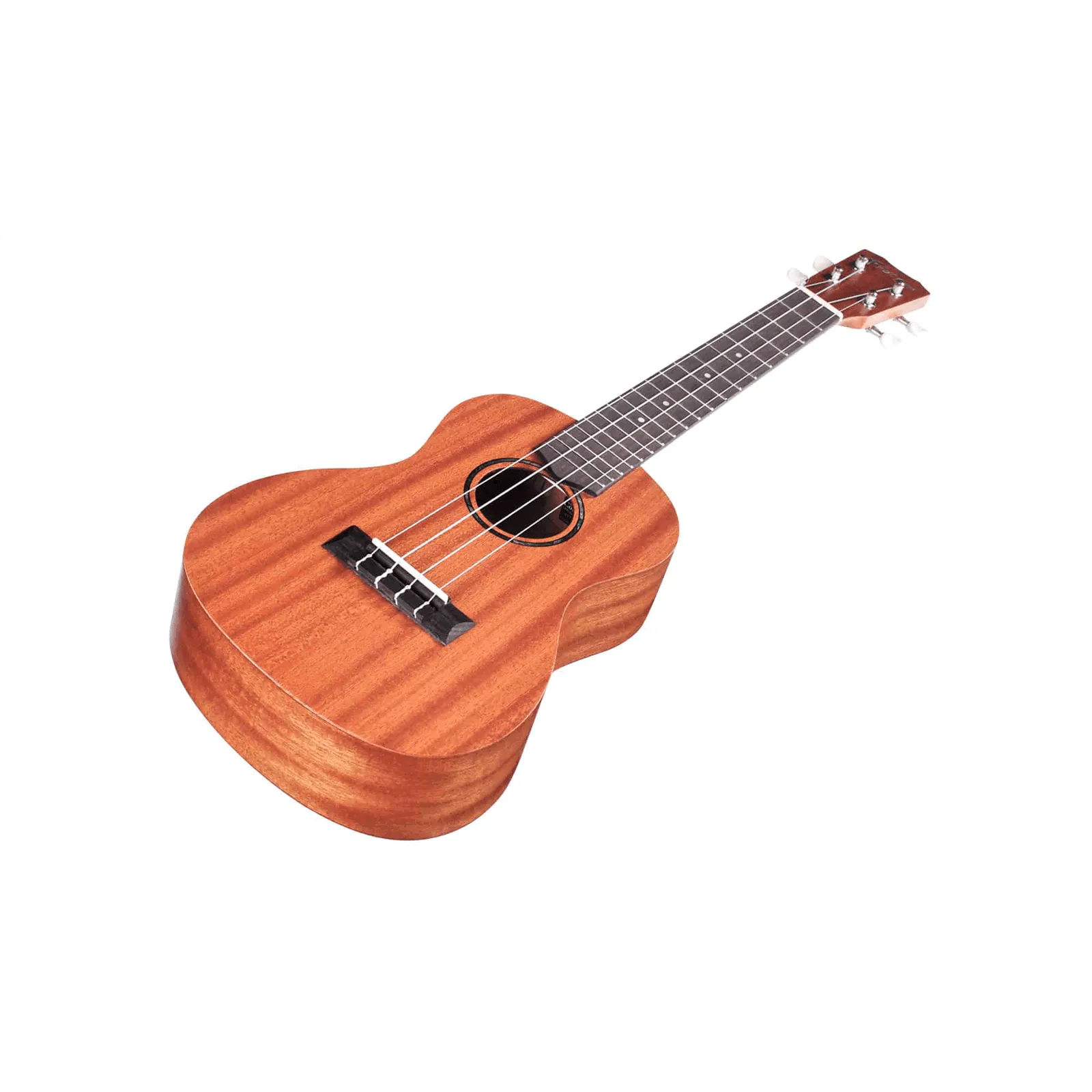 Cordoba Protege U1T Tenor Ukulele Mh/Mh No Bag-Ukuleles-Muso's Stuff 