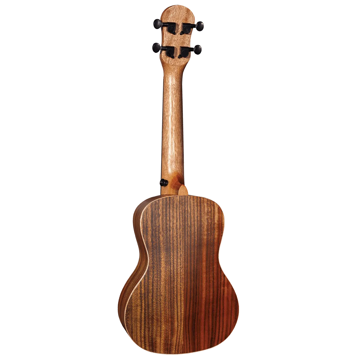 Koa Concert Uke w/Pickup---Muso's Stuff 