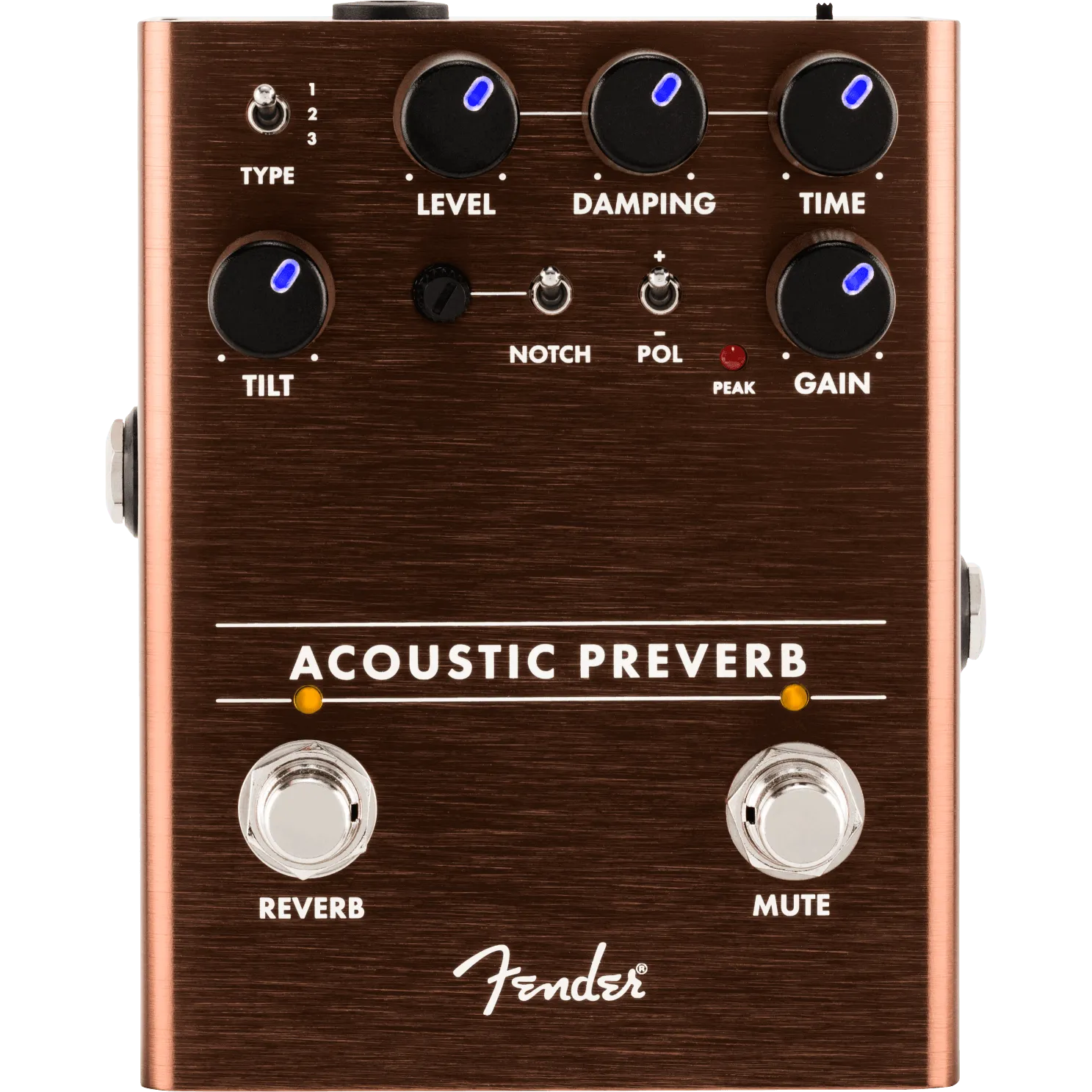 Acoustic Preamp/Reverb-Accessories-Fender-Muso's Stuff 