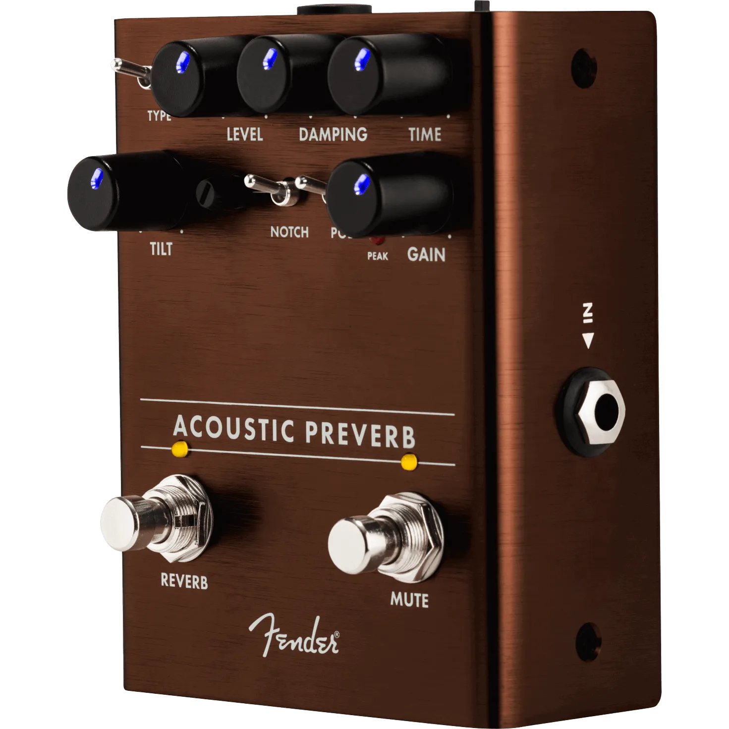 Acoustic Preamp/Reverb---Muso's Stuff 