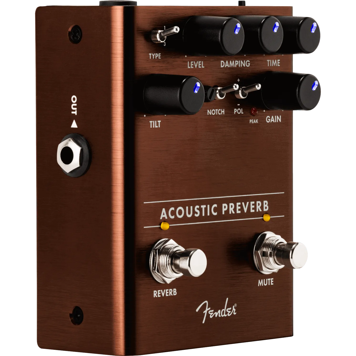 Acoustic Preamp/Reverb---Muso's Stuff 